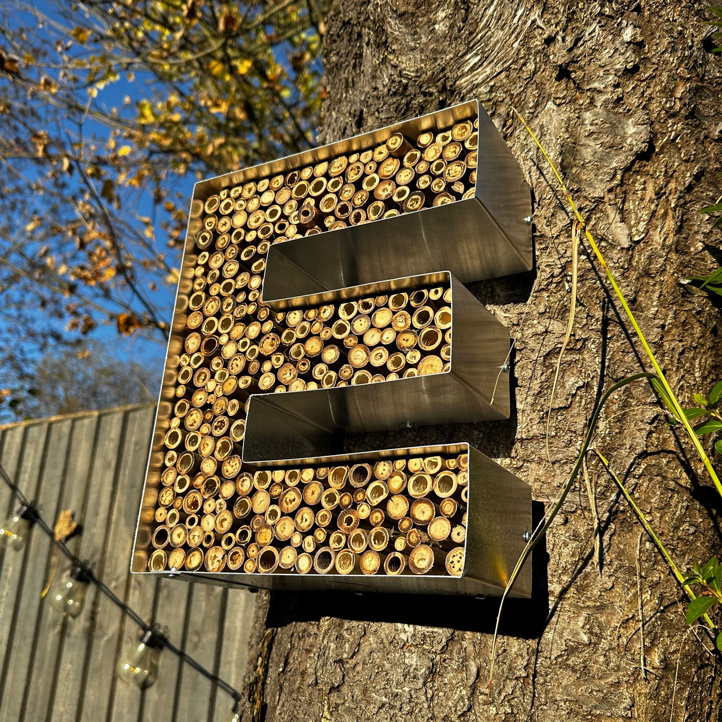 bee hotel letters