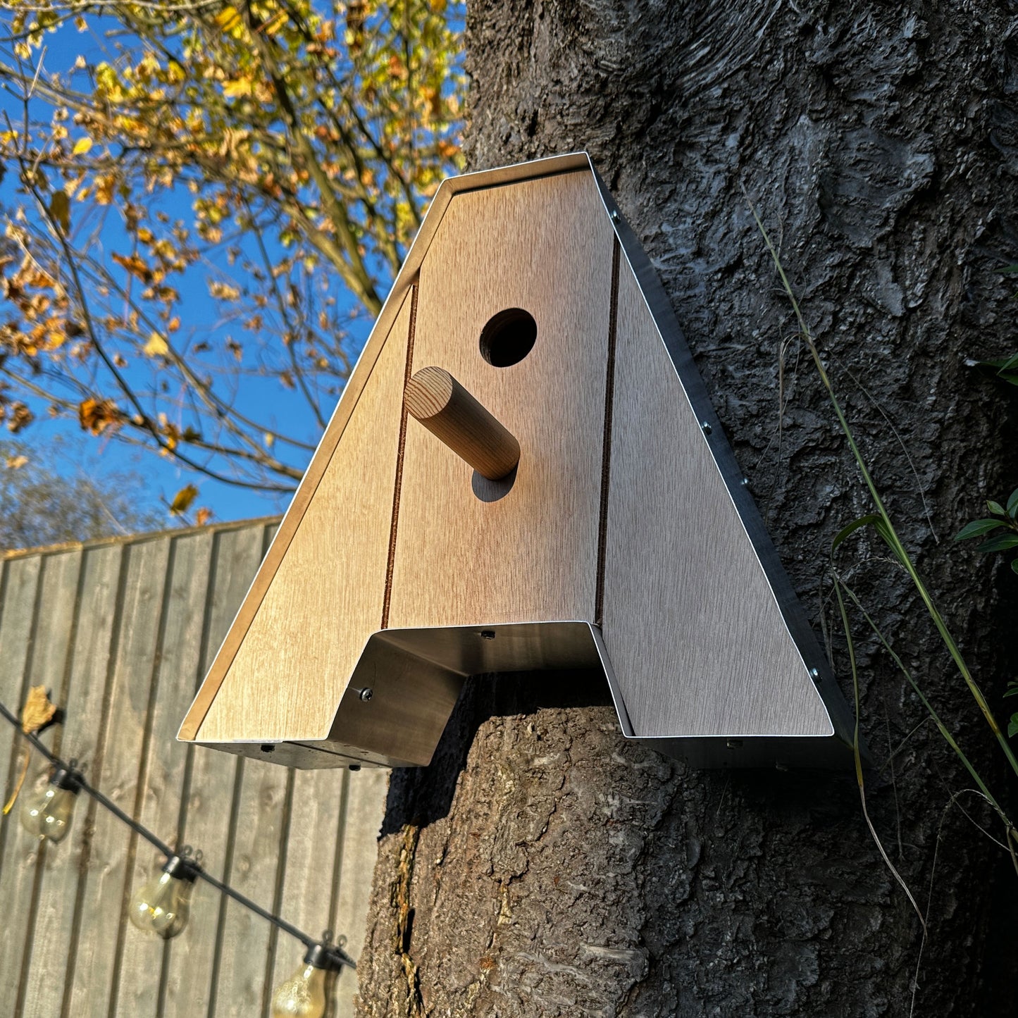 Bird house letter